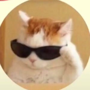 Meet your Posher, Elliana